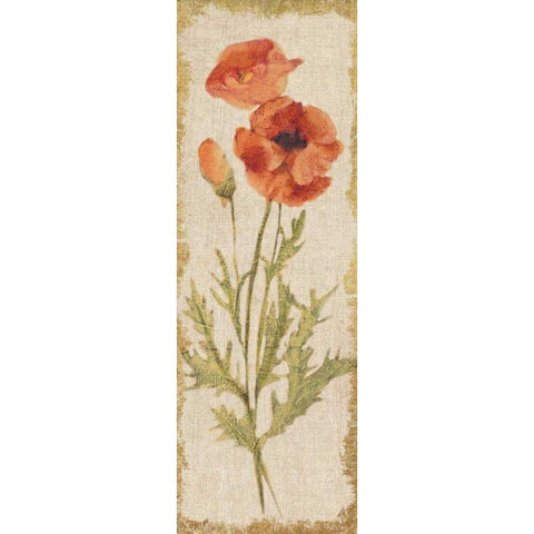 Poppy Panel on White Vintage Gold Ornate Wood Framed Art Print with Double Matting by Blum, Cheri