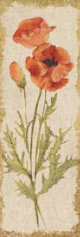 Poppy Panel on White Vintage White Modern Wood Framed Art Print with Double Matting by Blum, Cheri