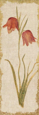 Red Tulip Panel on White Vintage White Modern Wood Framed Art Print with Double Matting by Blum, Cheri