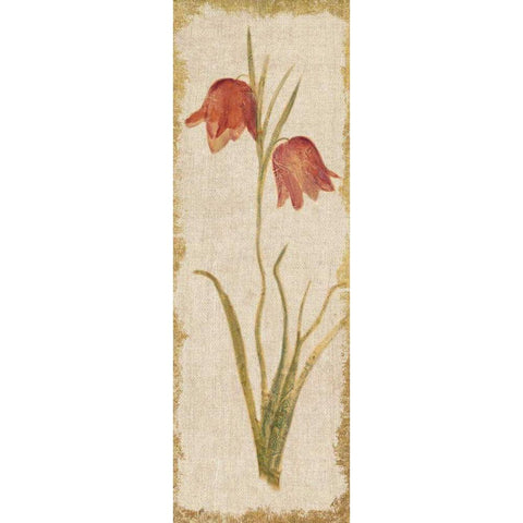 Red Tulip Panel on White Vintage Gold Ornate Wood Framed Art Print with Double Matting by Blum, Cheri