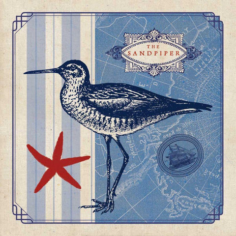 Sea Bird II Gold Ornate Wood Framed Art Print with Double Matting by Studio Mousseau