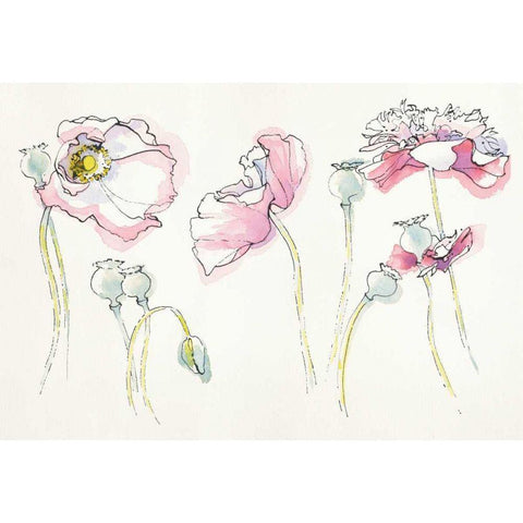 Pink Somniferums Black Modern Wood Framed Art Print with Double Matting by Novak, Shirley