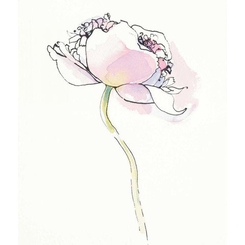 Single Pink Somniferums I on White Gold Ornate Wood Framed Art Print with Double Matting by Novak, Shirley