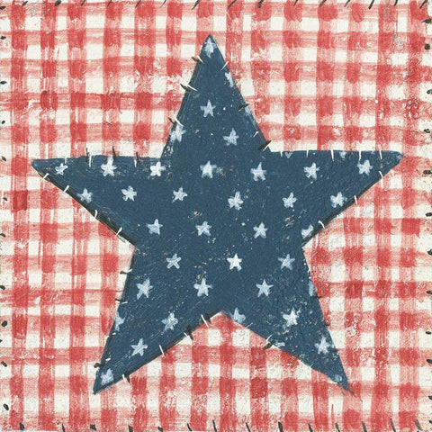 Americana Quilt II Gold Ornate Wood Framed Art Print with Double Matting by Brown, David Carter