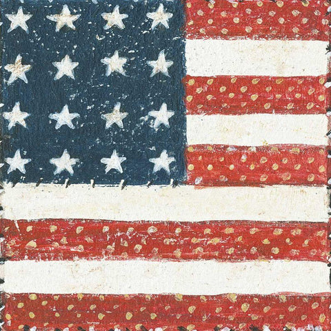 Americana Quilt IV Gold Ornate Wood Framed Art Print with Double Matting by Brown, David Carter