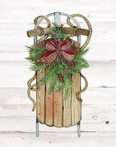 Holiday Sports II on White Wood White Modern Wood Framed Art Print with Double Matting by McKenna, Kathleen Parr