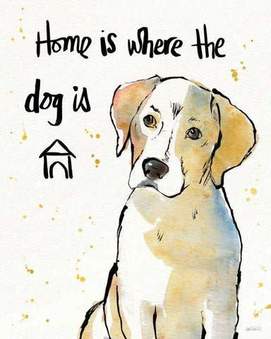 Strike a Paws VIII White Modern Wood Framed Art Print with Double Matting by Tavoletti, Anne