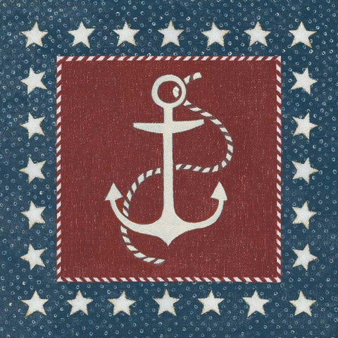 Coastal Americana III White Modern Wood Framed Art Print with Double Matting by Brown, David Carter