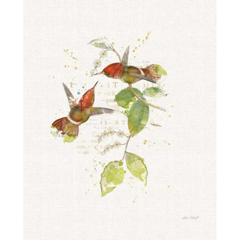 Colorful Hummingbirds II Black Modern Wood Framed Art Print with Double Matting by Pertiet, Katie