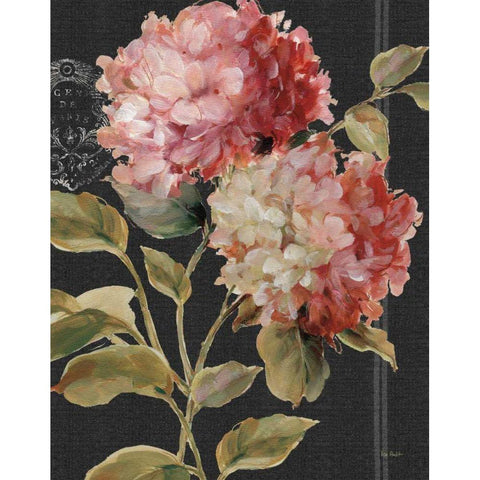 Harmonious Hydrangeas White Modern Wood Framed Art Print by Audit, Lisa