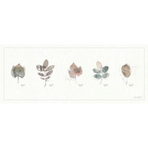 A Woodland Walk XV Black Modern Wood Framed Art Print with Double Matting by Audit, Lisa