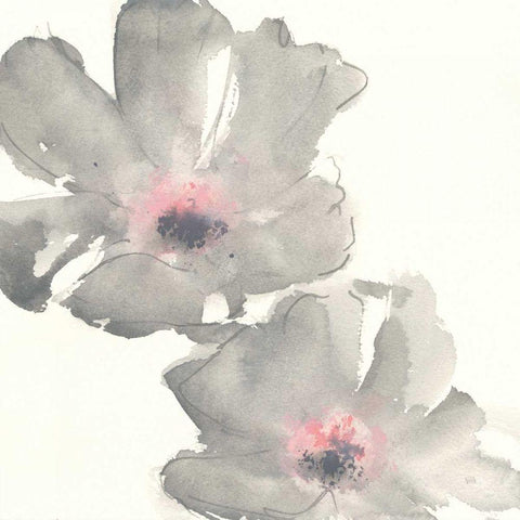 Gray Blush Cosmos I Black Modern Wood Framed Art Print by Paschke, Chris