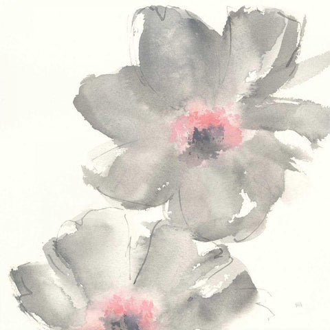 Gray Blush Cosmos II Black Ornate Wood Framed Art Print with Double Matting by Paschke, Chris