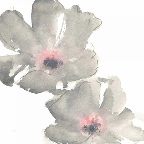 Gray Blush Cosmos I on White Black Modern Wood Framed Art Print by Paschke, Chris