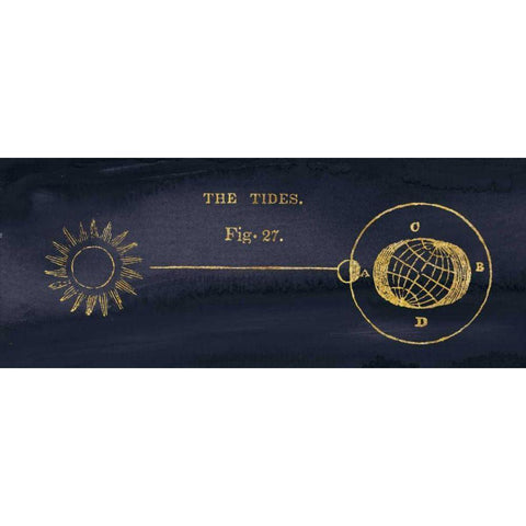 Geography of the Heavens VI Blue Gold Black Modern Wood Framed Art Print by Wild Apple Portfolio