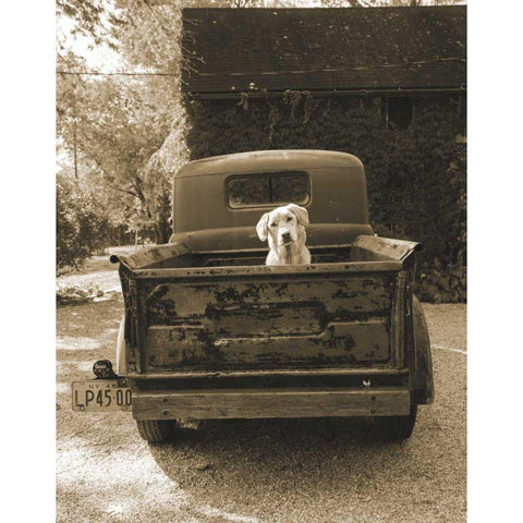 Get Out of Dodge Black Modern Wood Framed Art Print with Double Matting by Dratfield, Jim