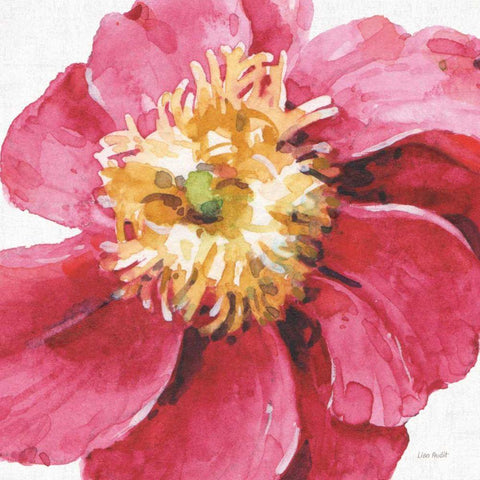 Pink Garden VI White Modern Wood Framed Art Print with Double Matting by Audit, Lisa