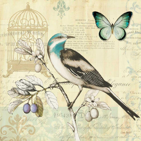 Freedom II White Modern Wood Framed Art Print with Double Matting by Audit, Lisa
