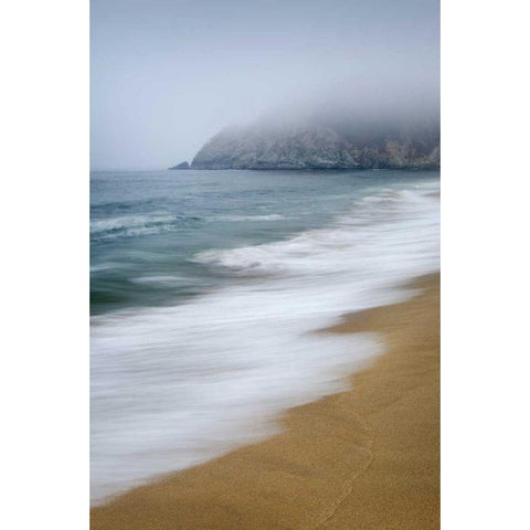 Gray Whale Cove Black Modern Wood Framed Art Print with Double Matting by Majchrowicz, Alan