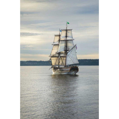 Lady Washington I Gold Ornate Wood Framed Art Print with Double Matting by Majchrowicz, Alan