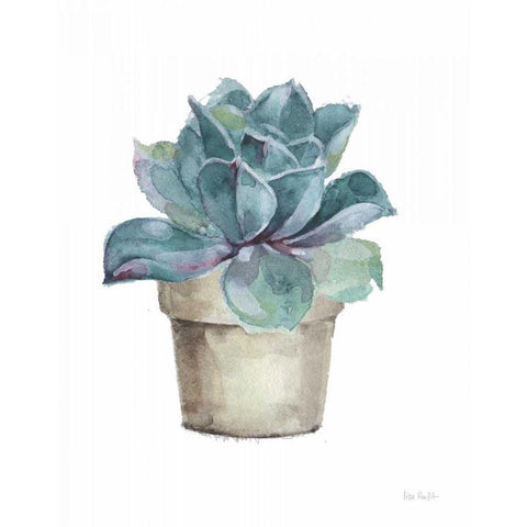 Mixed Greens Succulent IV Black Modern Wood Framed Art Print with Double Matting by Audit, Lisa