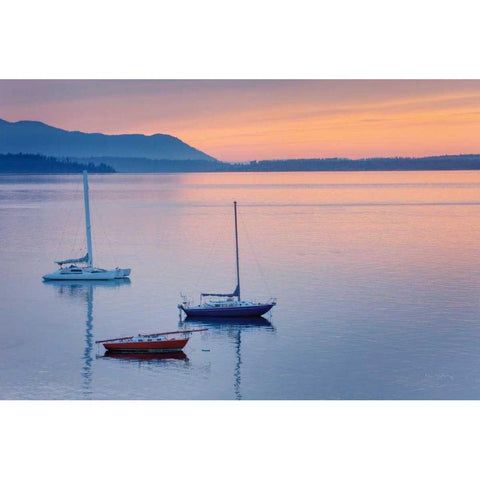 Bellingham Bay White Modern Wood Framed Art Print by Majchrowicz, Alan