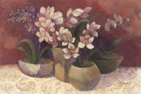 Orchid Dream White Modern Wood Framed Art Print with Double Matting by Hristova, Albena