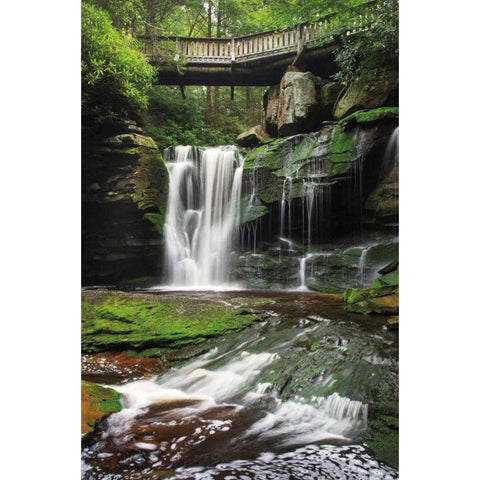 Elakala Falls West I Gold Ornate Wood Framed Art Print with Double Matting by Majchrowicz, Alan