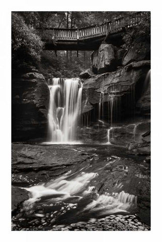 Elakala Falls West I BW Black Ornate Wood Framed Art Print with Double Matting by Majchrowicz, Alan