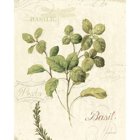 Aromantique III White Modern Wood Framed Art Print by Audit, Lisa