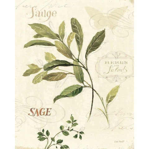 Aromantique IV White Modern Wood Framed Art Print by Audit, Lisa