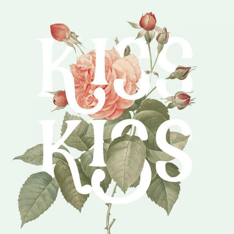 Botanical Pink Rose I Kiss White Modern Wood Framed Art Print by Wild Apple Portfolio