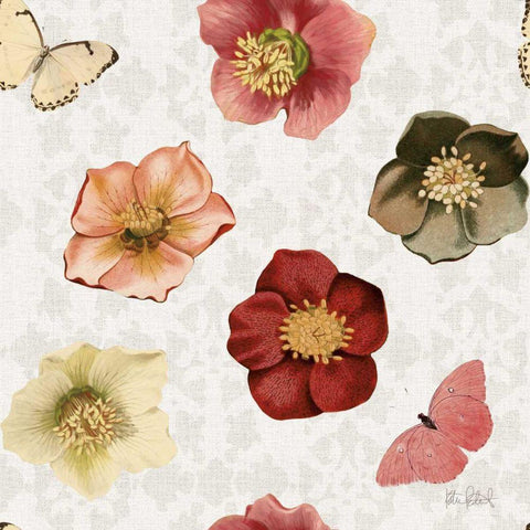 Vintage Petals Pattern II Black Ornate Wood Framed Art Print with Double Matting by Pertiet, Katie