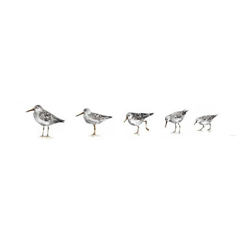 Pebbles and Sandpipers IX Gray No Words Border Black Modern Wood Framed Art Print with Double Matting by Audit, Lisa