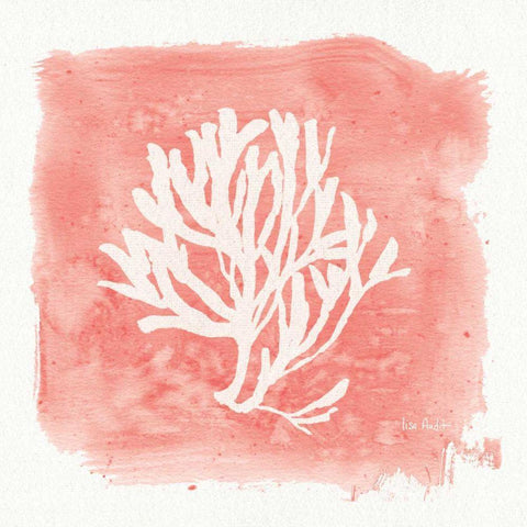 Water Coral Cove III White Modern Wood Framed Art Print by Audit, Lisa