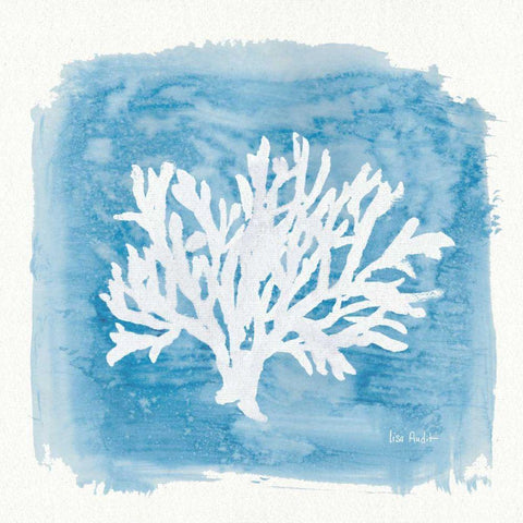 Water Coral Cove VI White Modern Wood Framed Art Print with Double Matting by Audit, Lisa