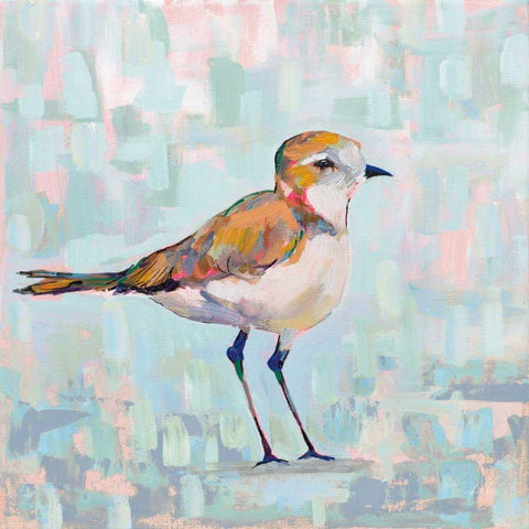 Coastal Plover III Neutral White Modern Wood Framed Art Print by Vertentes, Jeanette