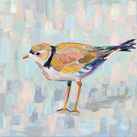 Coastal Plover IV v2 Neutral White Modern Wood Framed Art Print with Double Matting by Vertentes, Jeanette
