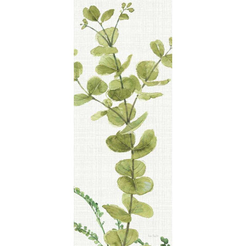 Mixed Greens LX v2 White Modern Wood Framed Art Print by Audit, Lisa