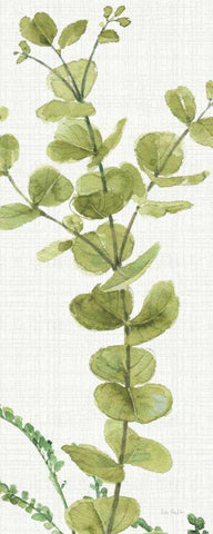 Mixed Greens LX v2 White Modern Wood Framed Art Print with Double Matting by Audit, Lisa