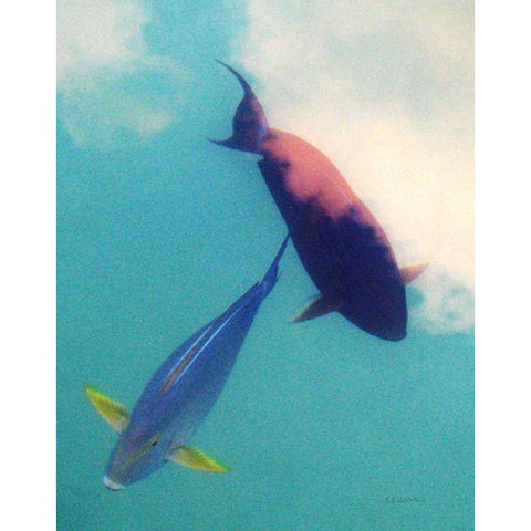 Sea Dreams White Modern Wood Framed Art Print by Goldstein, Ed