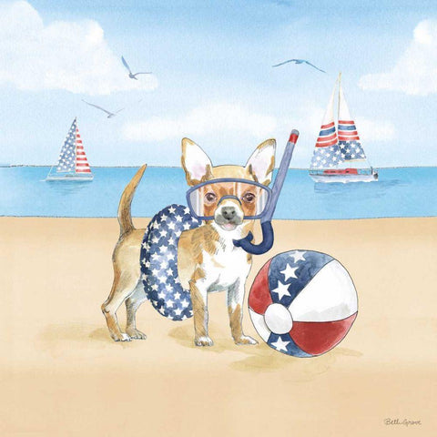 Summer Paws Patriotic II Black Modern Wood Framed Art Print with Double Matting by Grove, Beth