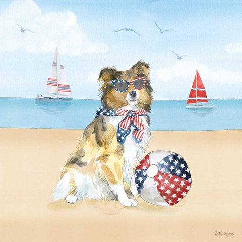 Summer Paws Patriotic V Black Modern Wood Framed Art Print with Double Matting by Grove, Beth