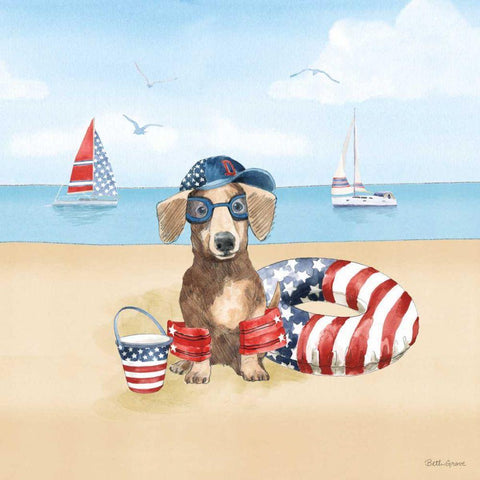 Summer Paws Patriotic III Black Ornate Wood Framed Art Print with Double Matting by Grove, Beth