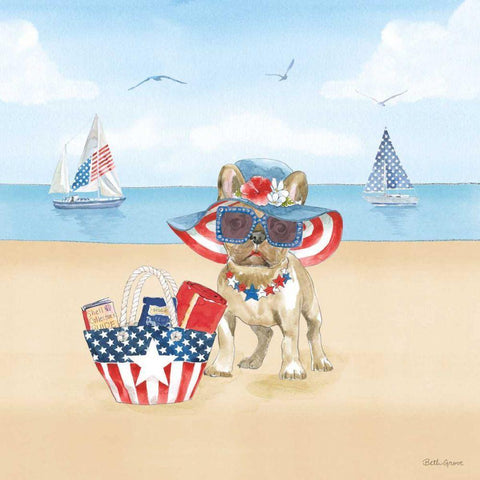 Summer Paws Patriotic IV White Modern Wood Framed Art Print with Double Matting by Grove, Beth