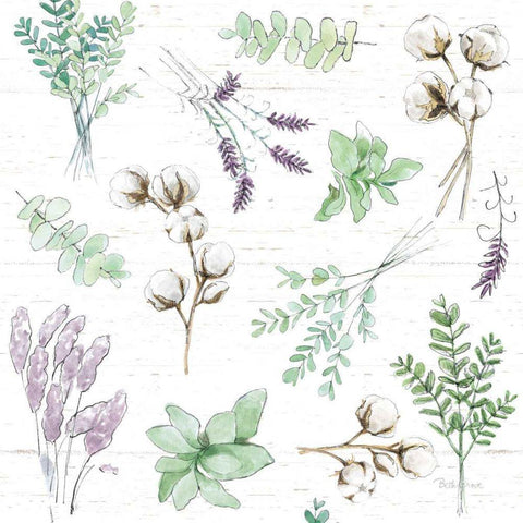 Farmhouse Cotton Pattern I Sage White Modern Wood Framed Art Print with Double Matting by Grove, Beth