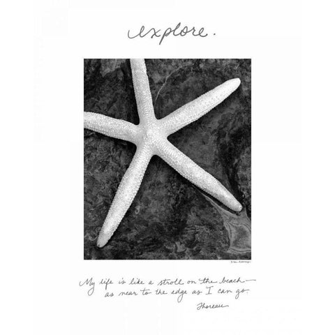 Explore White Modern Wood Framed Art Print by Van Swearingen, Debra