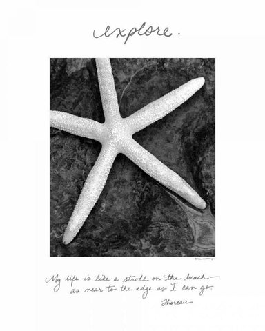 Explore White Modern Wood Framed Art Print with Double Matting by Van Swearingen, Debra