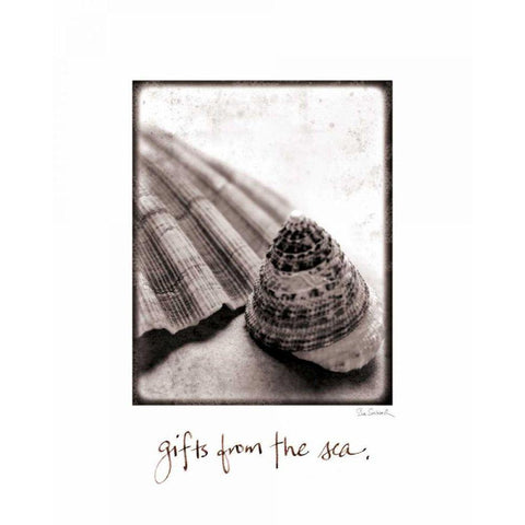 Gifts from the Sea Black Modern Wood Framed Art Print with Double Matting by Schlabach, Sue