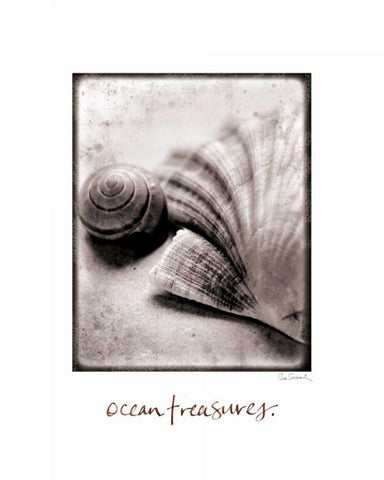 Ocean Treasures Black Ornate Wood Framed Art Print with Double Matting by Schlabach, Sue